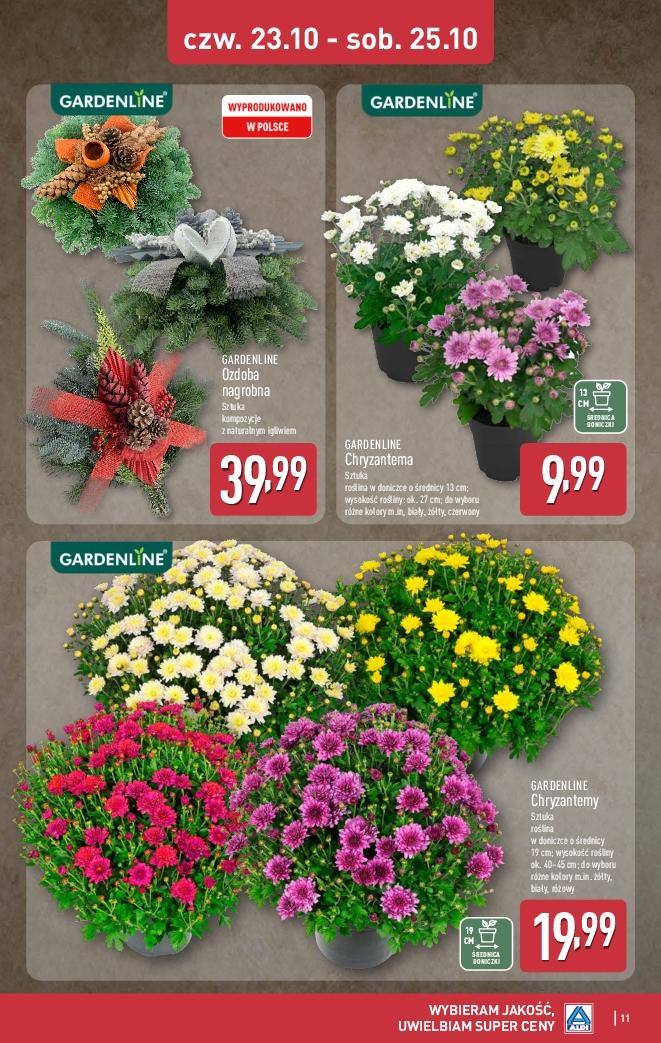 Gazetka promocyjna ALDI do 25/10/2025 str.11