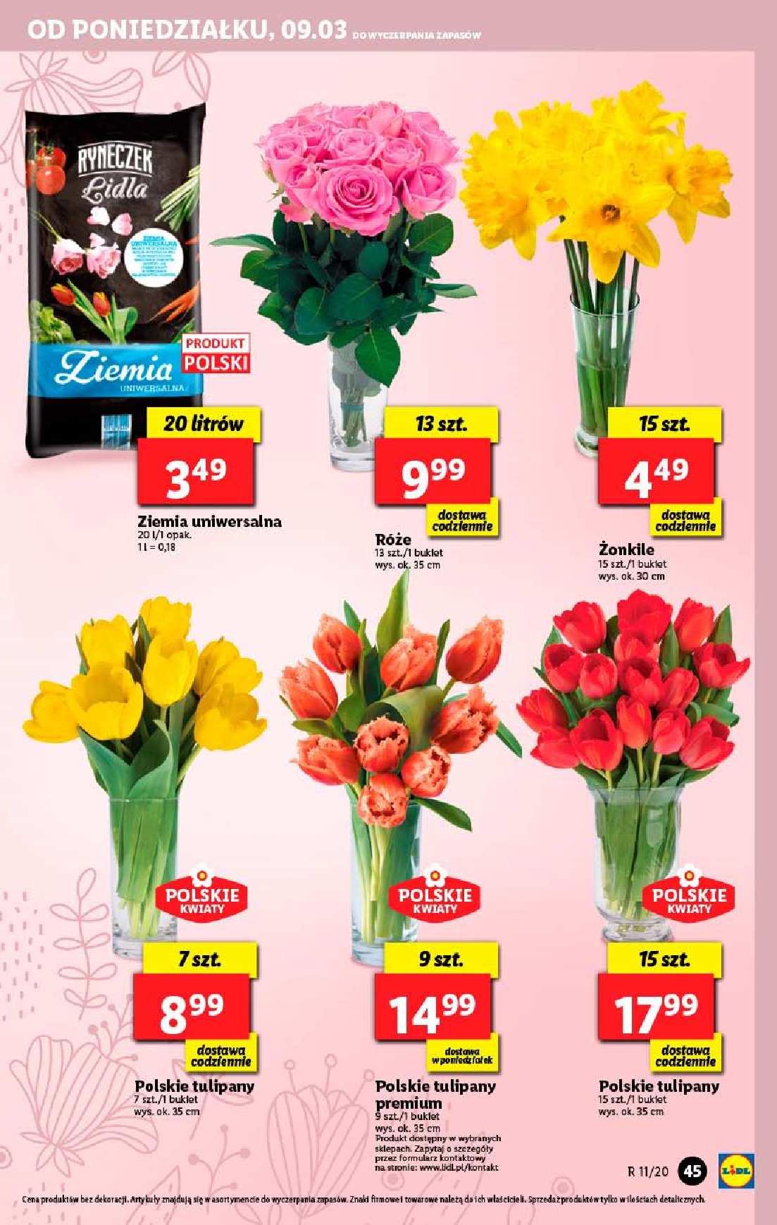 Gazetka promocyjna Lidl do 11/03/2020 str.45