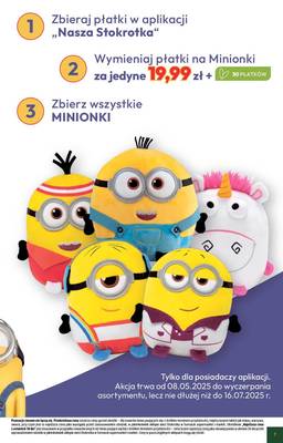 Gazetka Stokrotka