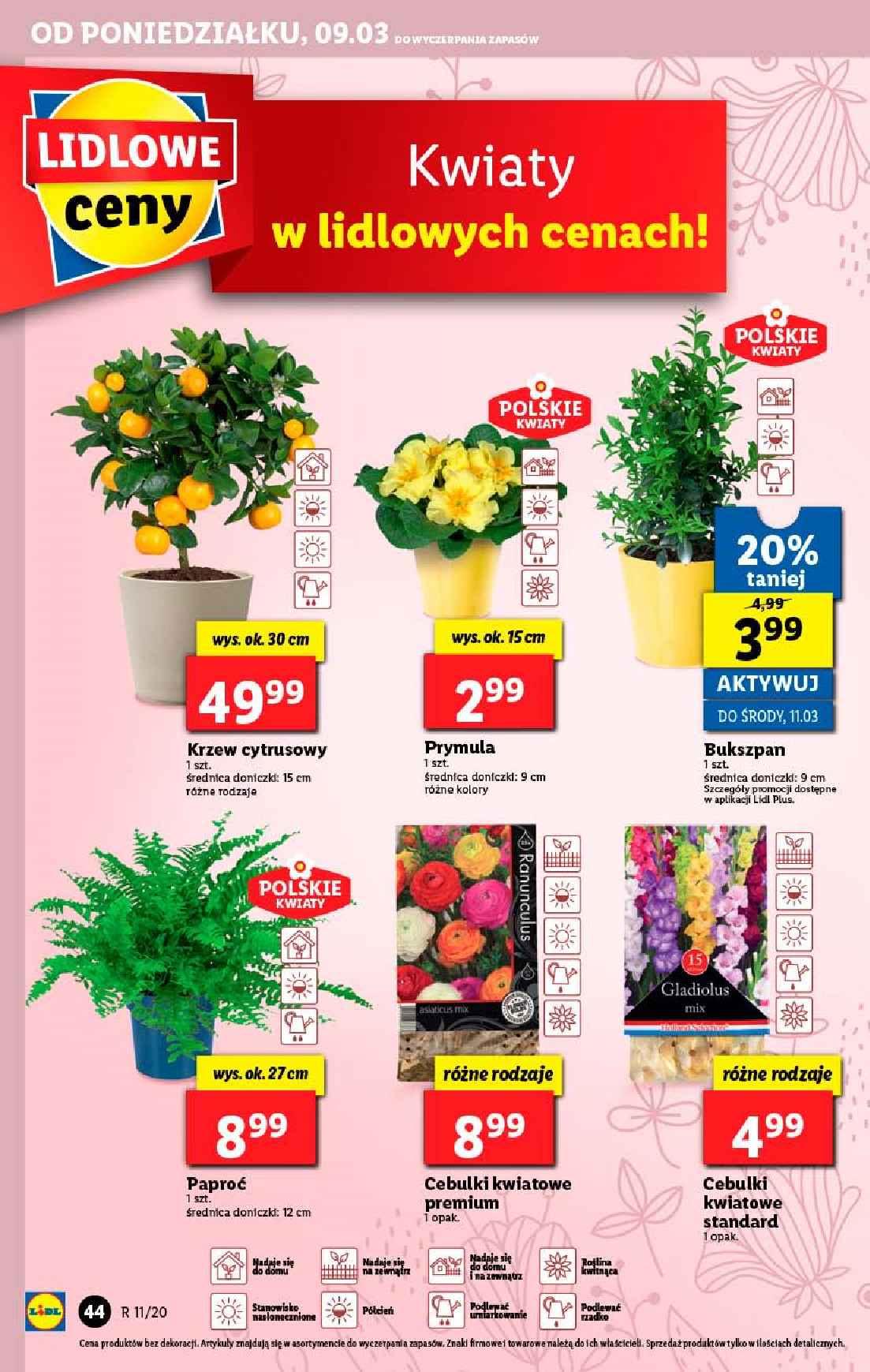 Gazetka promocyjna Lidl do 11/03/2020 str.44