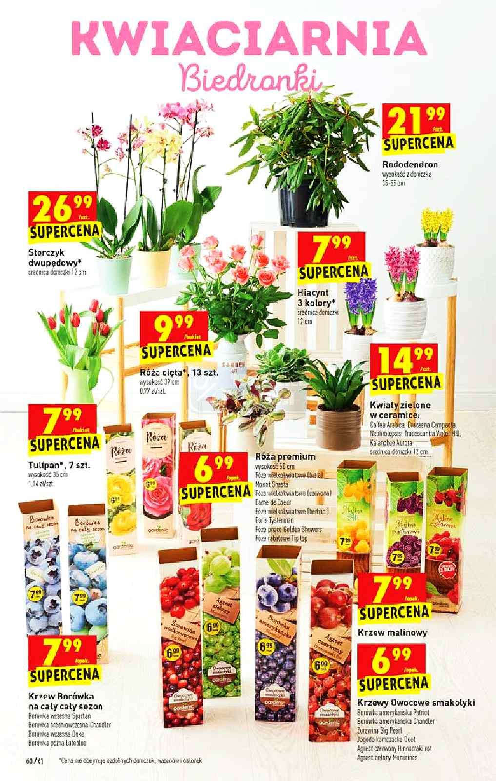 Gazetka promocyjna Biedronka do 24/03/2021 str.60