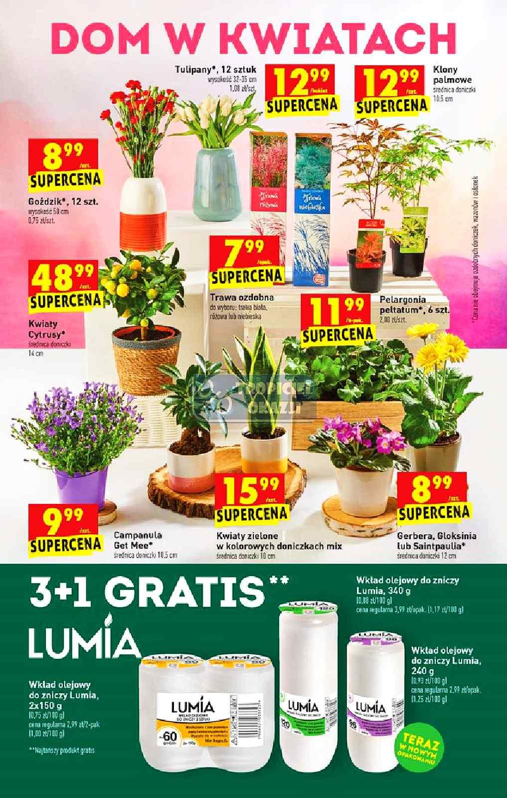 Gazetka promocyjna Biedronka do 09/05/2020 str.36