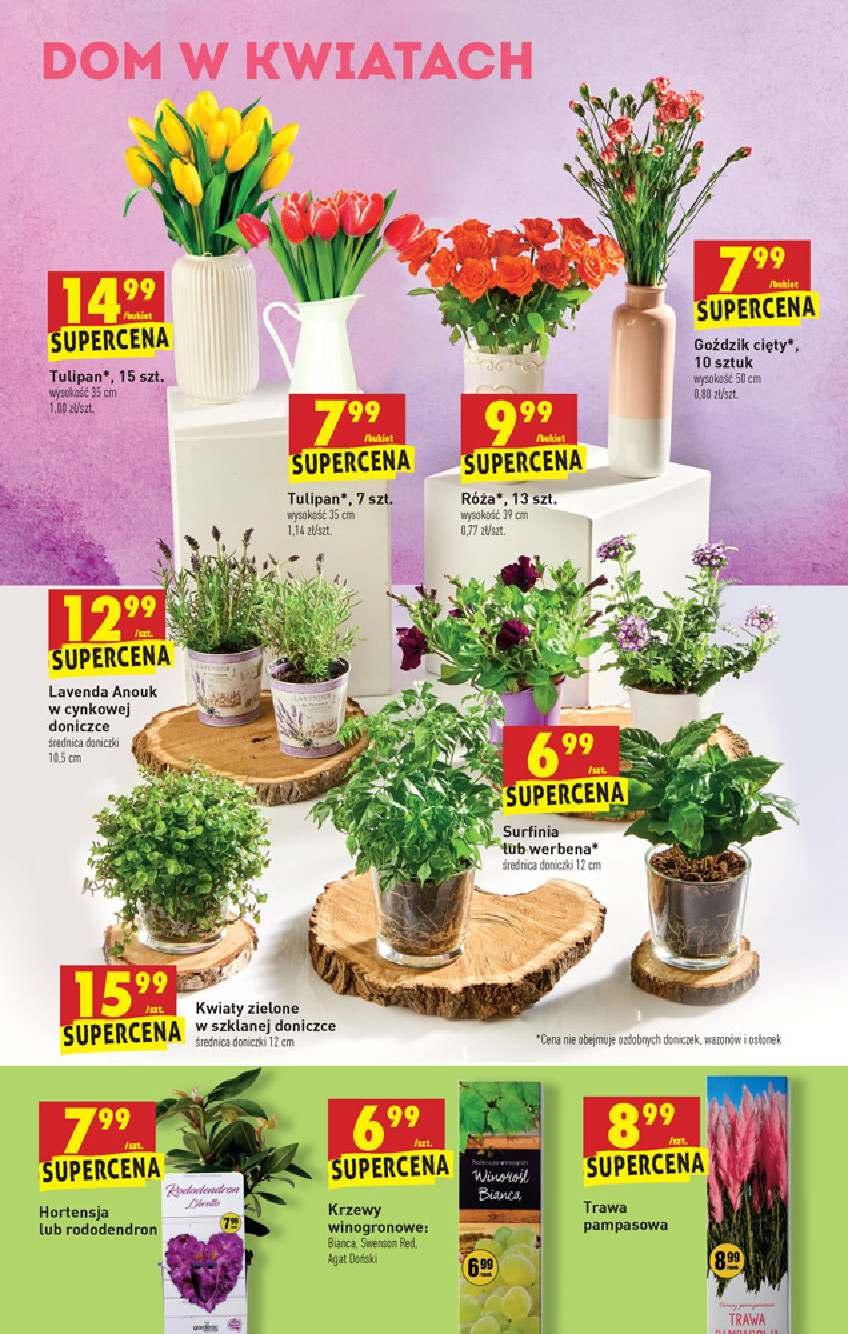 Gazetka promocyjna Biedronka do 13/05/2020 str.35