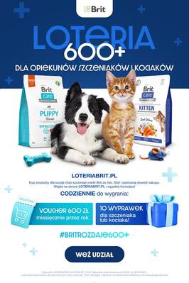 Lidl od czwartku