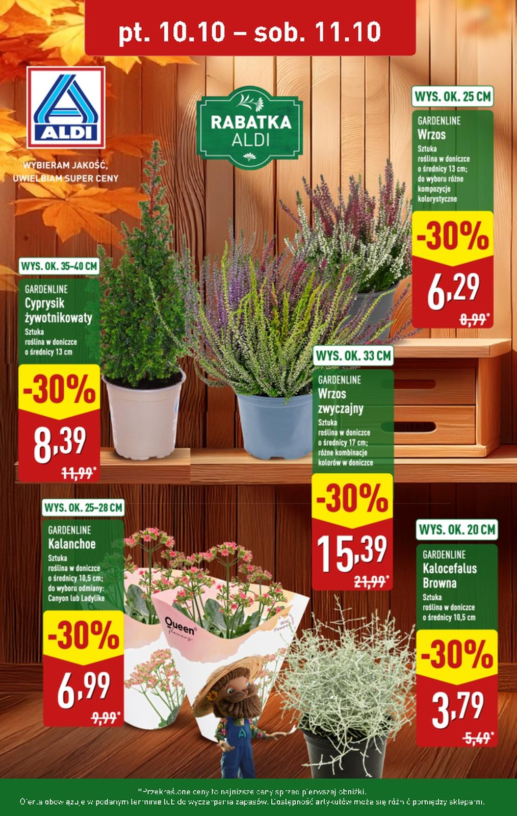 Gazetka promocyjna ALDI do 11/10/2025 str.1