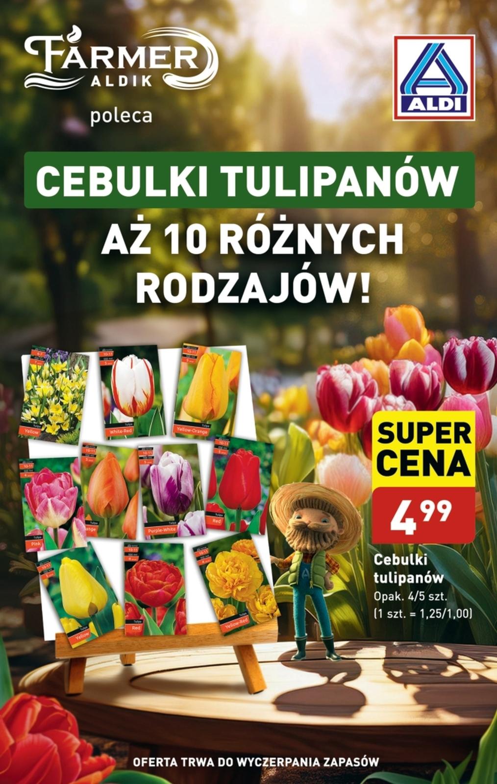 Gazetka promocyjna ALDI do 05/10/2024 str.13