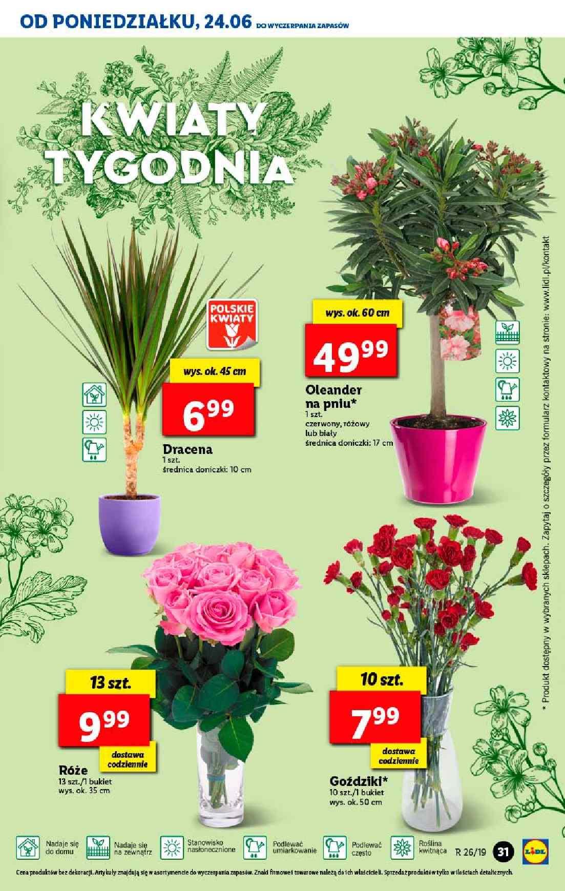 Gazetka promocyjna Lidl do 26/06/2019 str.31