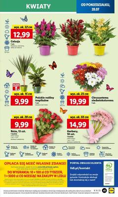 Lidl od poniedziałku