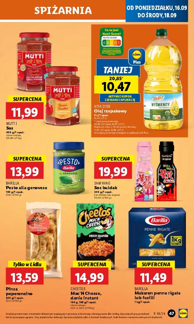 Gazetka promocyjna Lidl do 18/09/2024 str.53