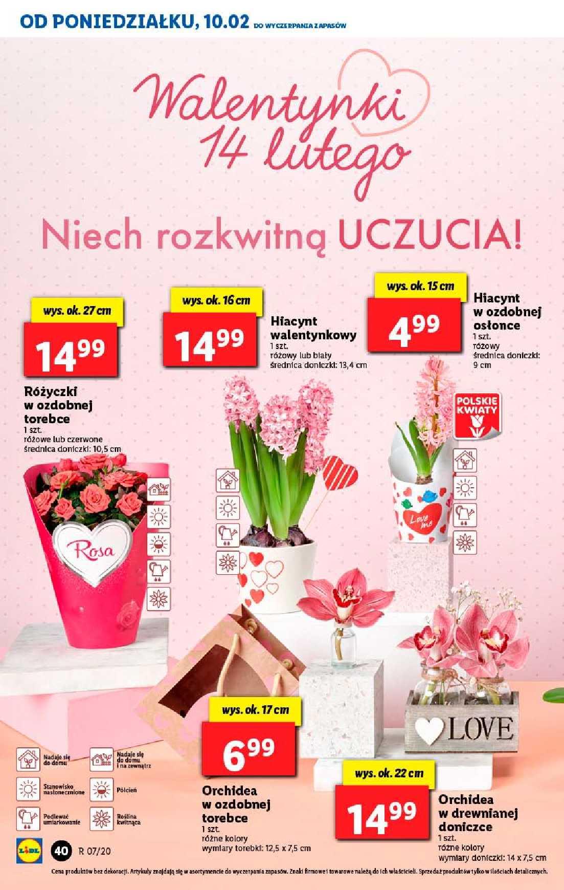 Gazetka promocyjna Lidl do 12/02/2020 str.40