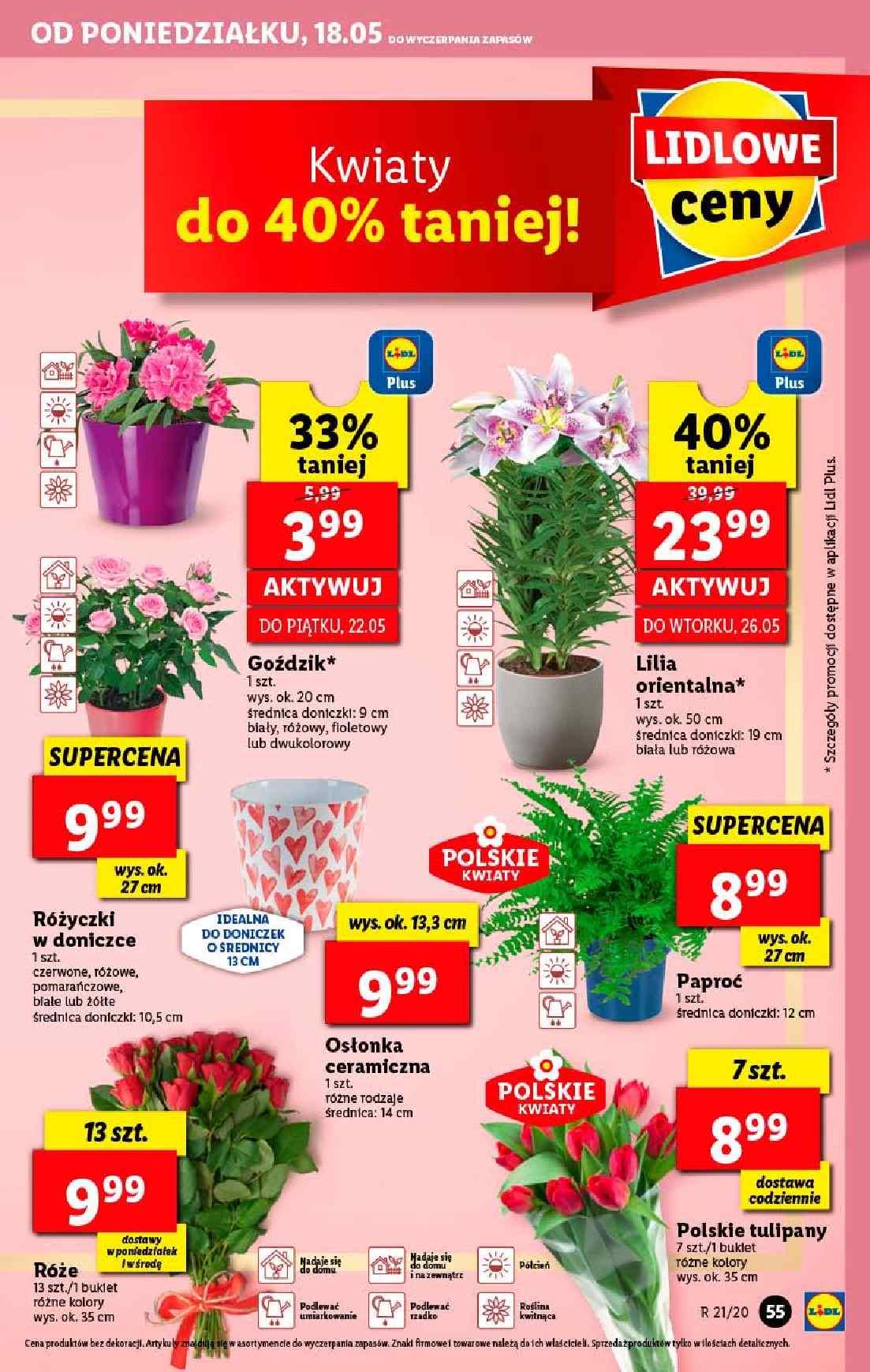 Gazetka promocyjna Lidl do 20/05/2020 str.55