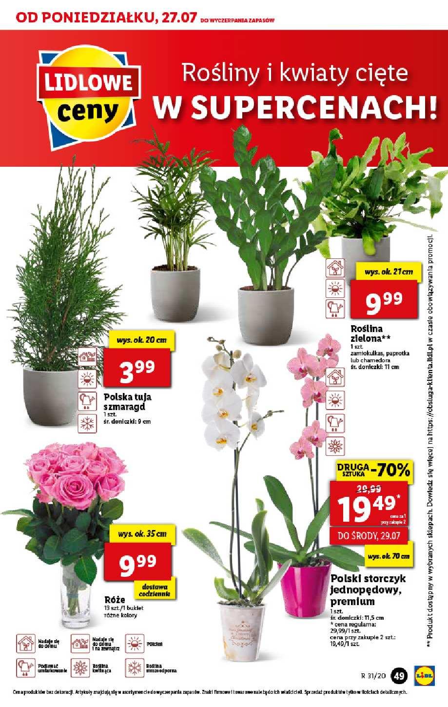 Gazetka promocyjna Lidl do 29/07/2020 str.49