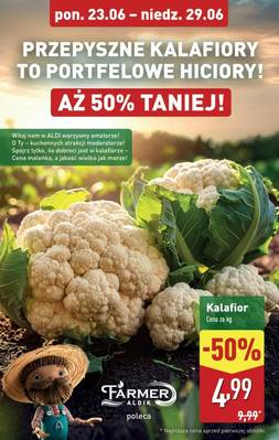 Katalog Aldi 