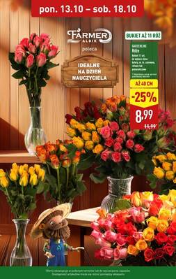 Aldi rośliny 
