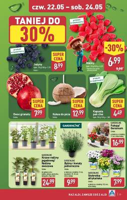 Katalog Aldi 