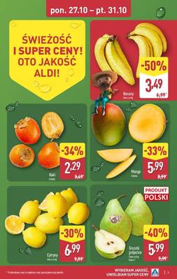 Aldi Katalog