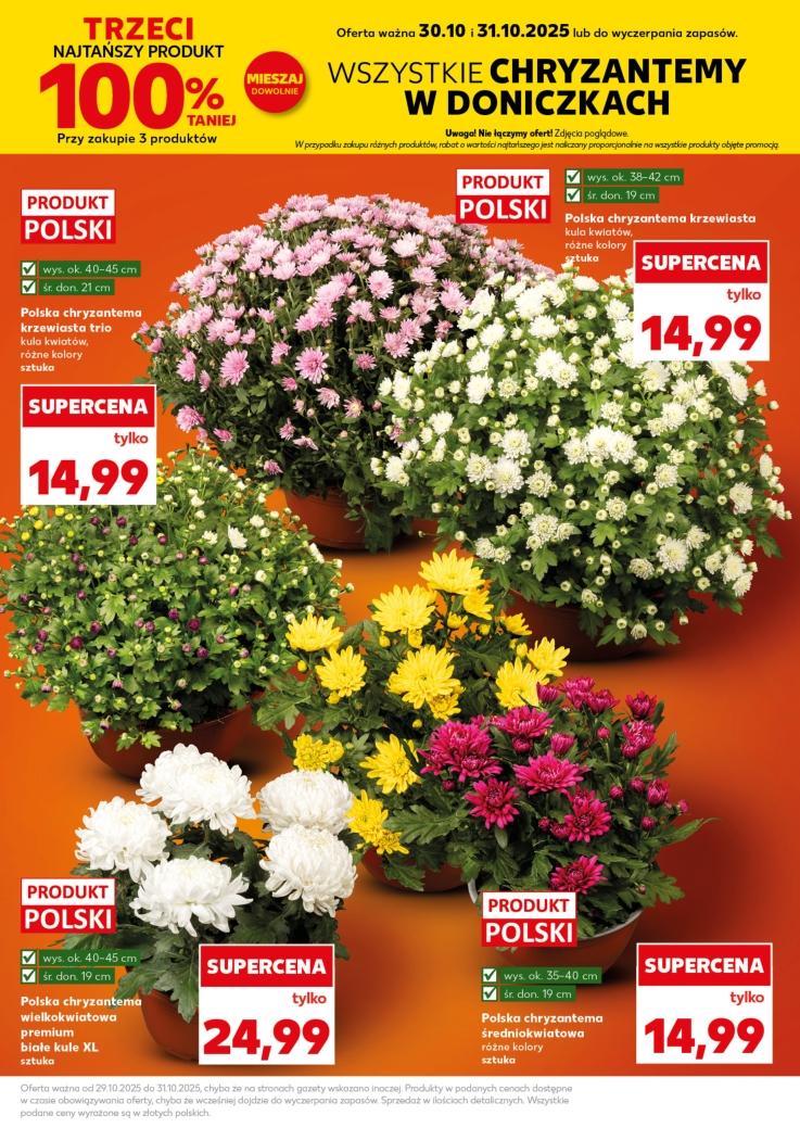 Gazetka promocyjna Kaufland do 31/10/2025 str.15