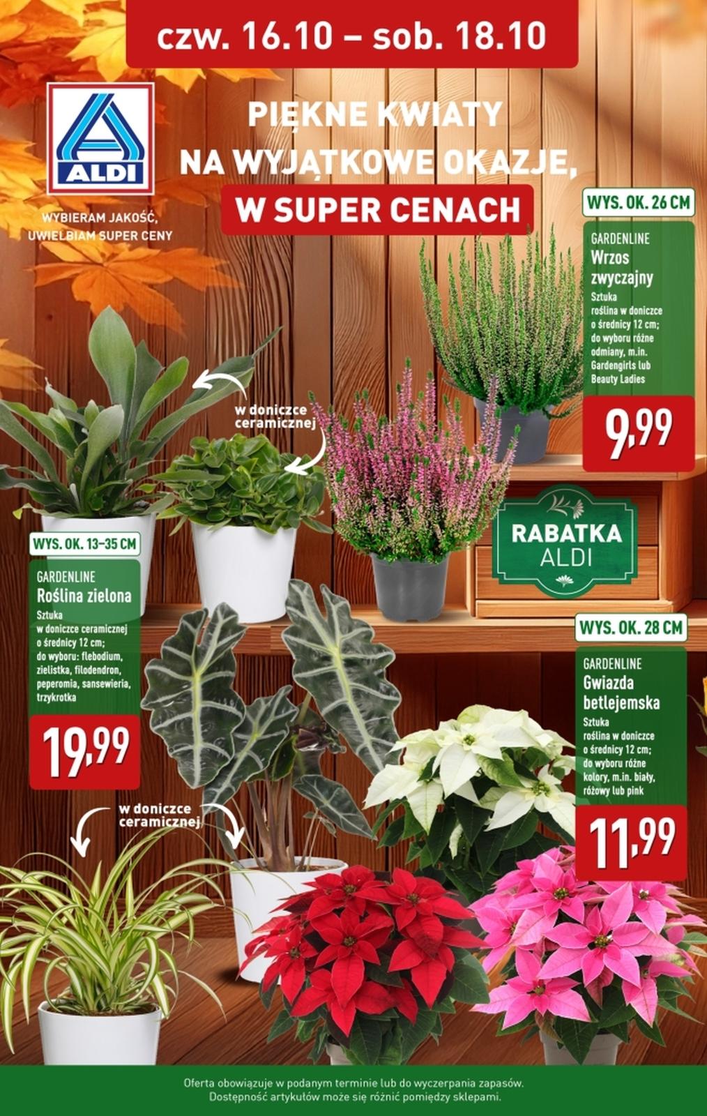 Gazetka promocyjna ALDI do 18/10/2025 str.1