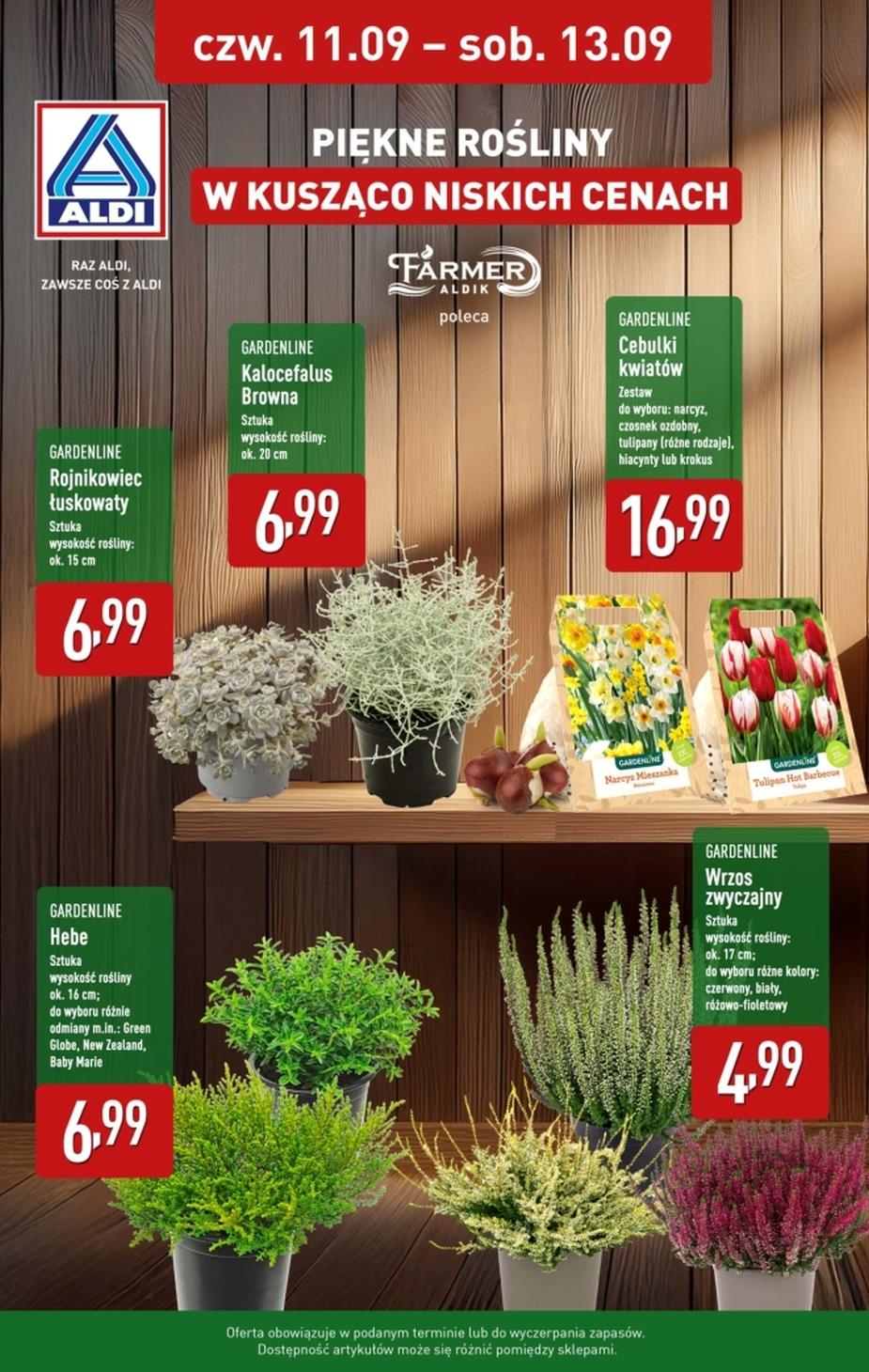Gazetka promocyjna ALDI do 13/09/2025 str.1