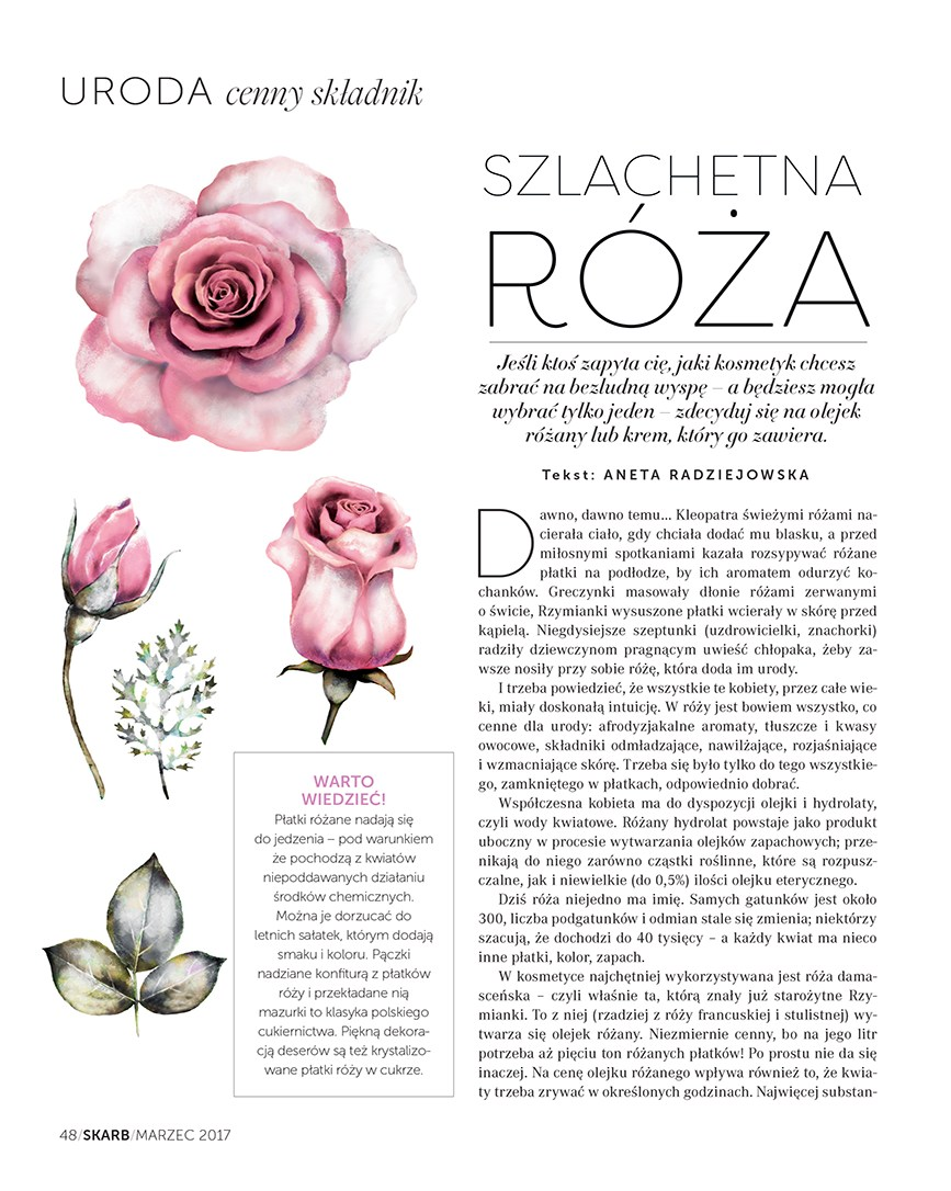 Gazetka promocyjna Rossmann do 31/03/2017 str.48