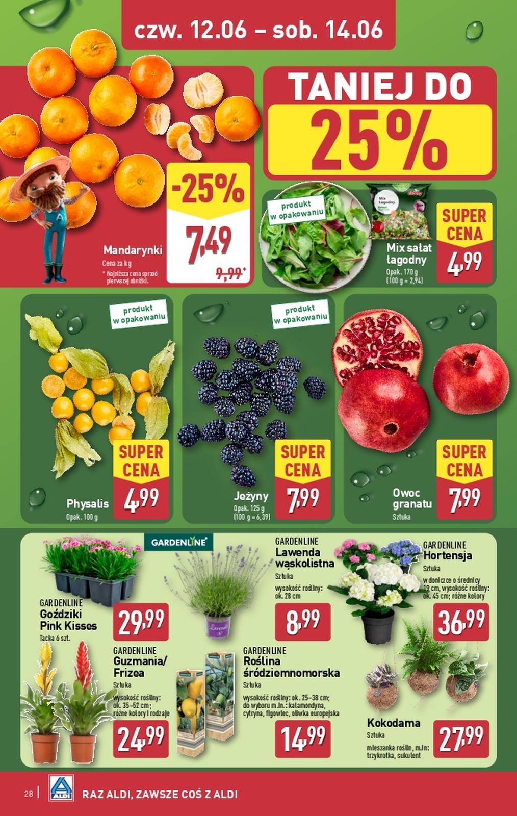 Gazetka promocyjna ALDI do 14/06/2025 str.28