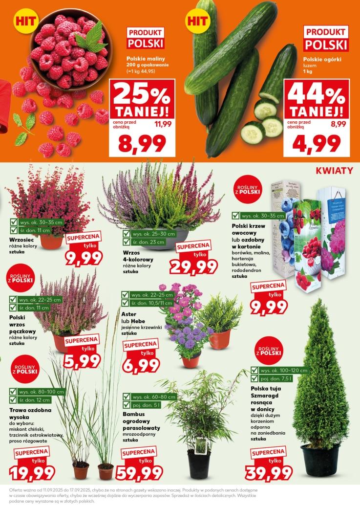 Gazetka promocyjna Kaufland do 17/09/2025 str.13