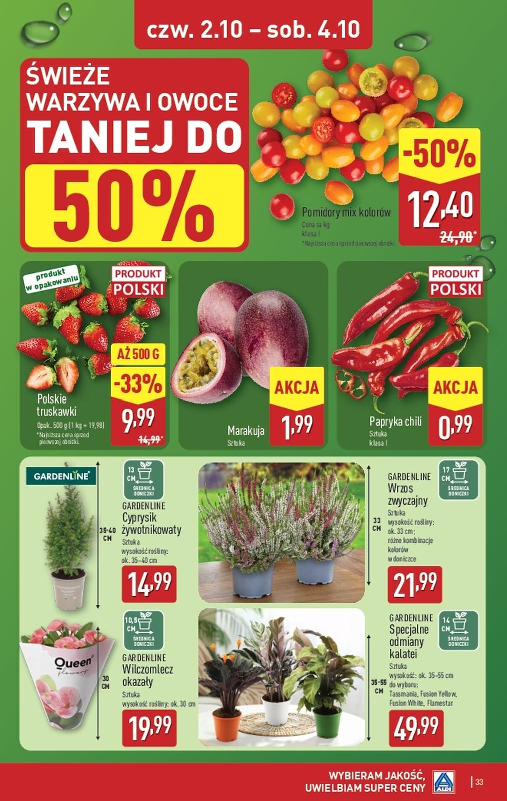 Gazetka promocyjna ALDI do 04/10/2025 str.33