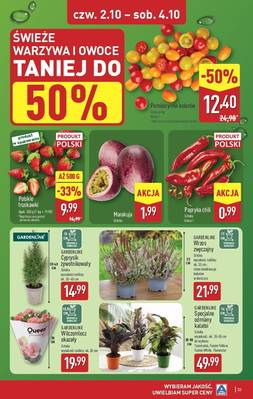 Katalog Aldi 