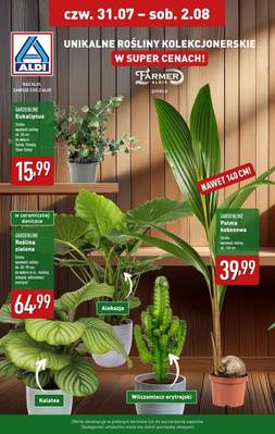 Katalog Aldi