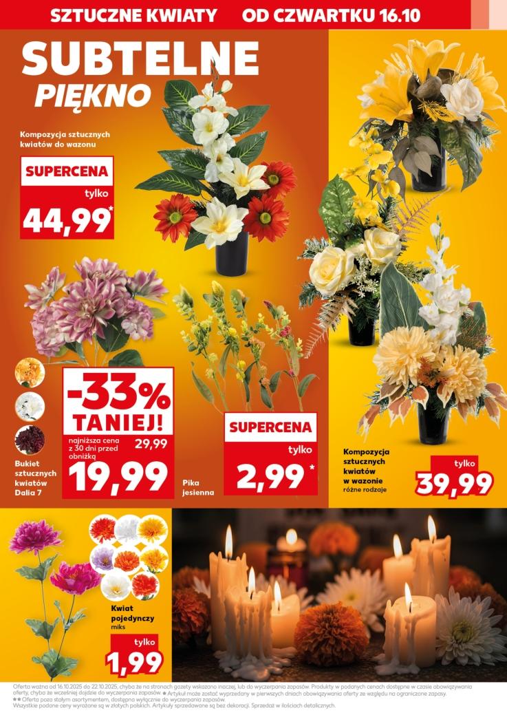 Gazetka promocyjna Kaufland do 22/10/2025 str.15