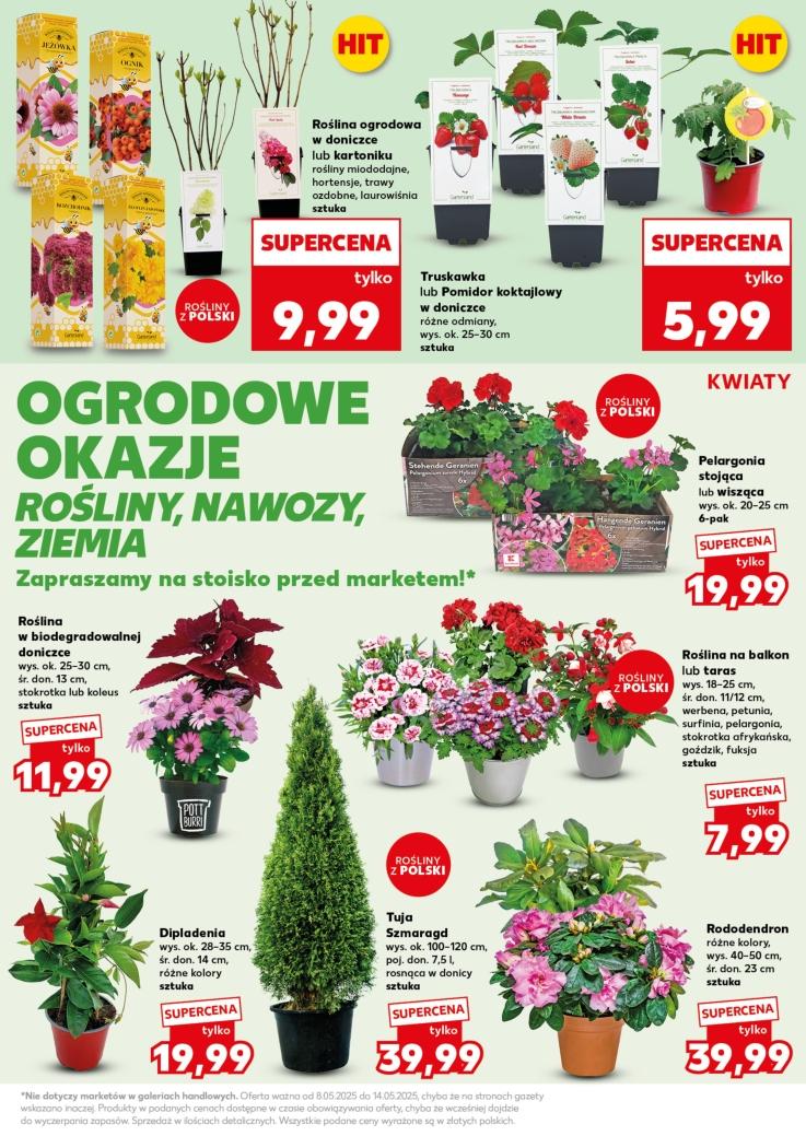 Gazetka promocyjna Kaufland do 14/05/2025 str.19