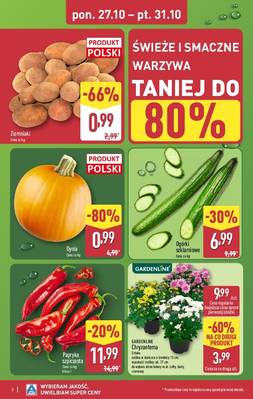 Aldi Katalog