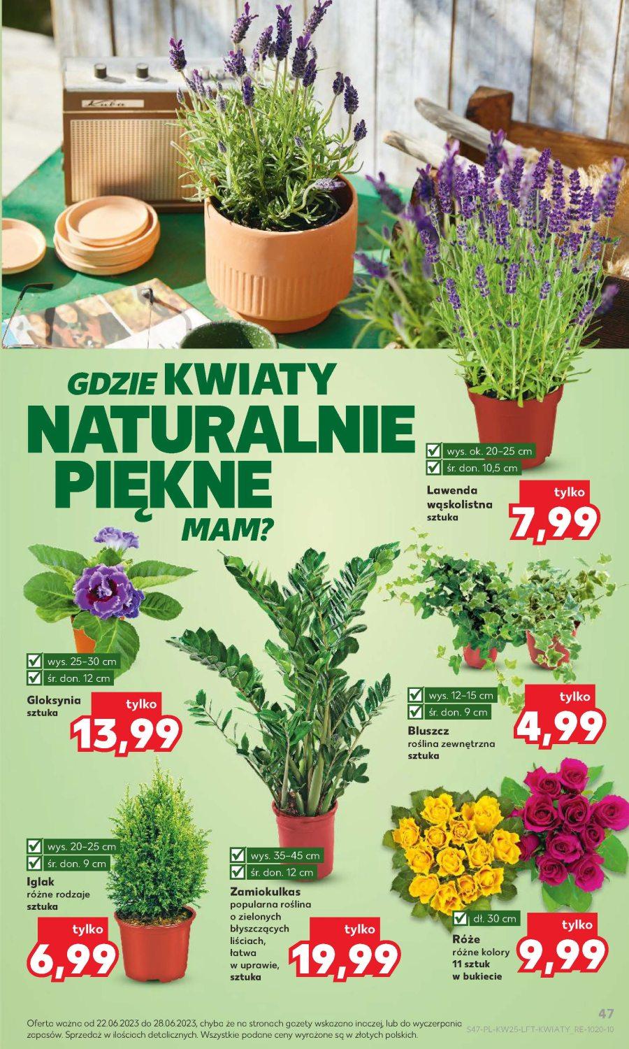 Gazetka promocyjna Kaufland do 28/06/2023 str.47