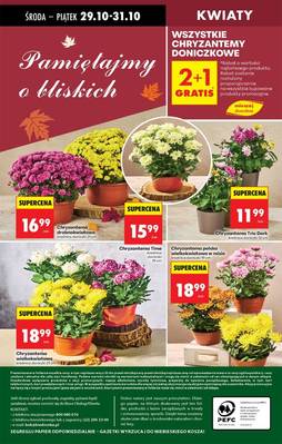 W tym tygodniu - Lada