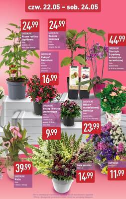 Aldi weekend
