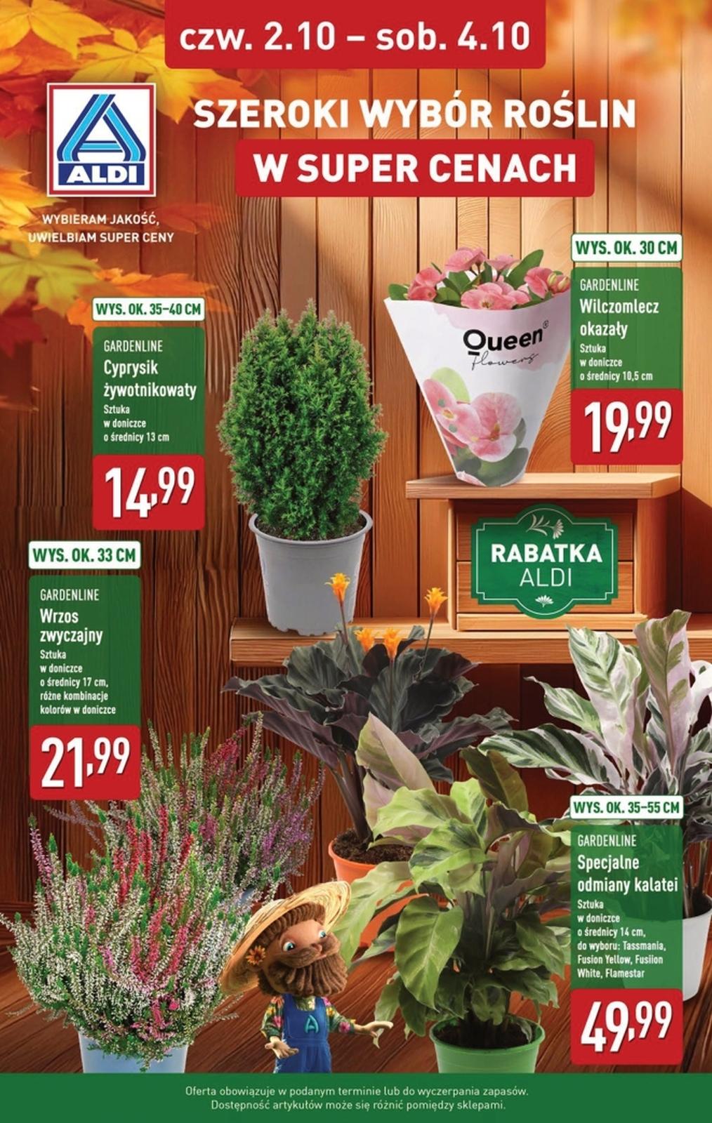 Gazetka promocyjna ALDI do 04/10/2025 str.7