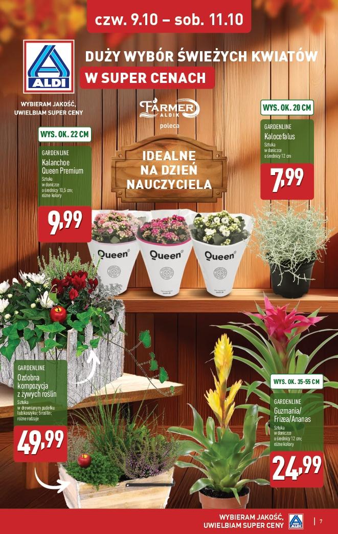 Gazetka promocyjna ALDI do 11/10/2025 str.7