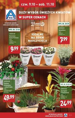 Aldi weekend
