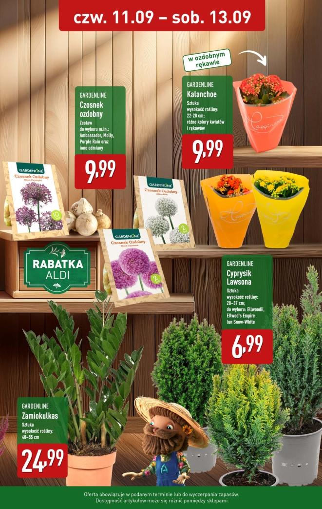 Gazetka promocyjna ALDI do 13/09/2025 str.2