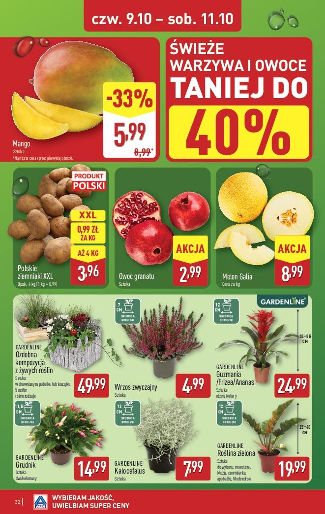 Gazetka promocyjna ALDI do 11/10/2025 str.32