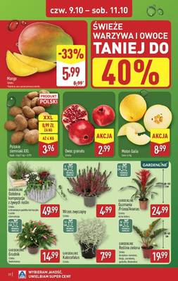 Katalog Aldi 