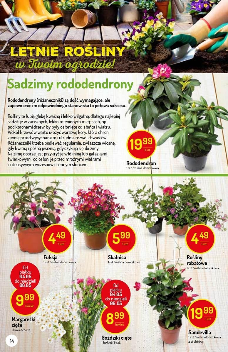 Gazetka promocyjna Delikatesy Centrum do 09/05/2018 str.14