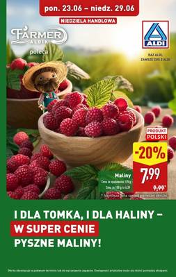 Aldi truskawki 