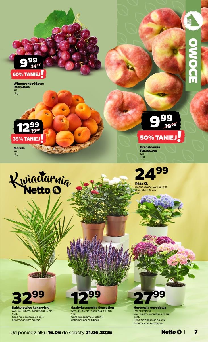 Gazetka promocyjna Netto do 21/06/2025 str.7