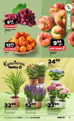 Netto od poniedziałku 