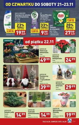 Katalog Aldi