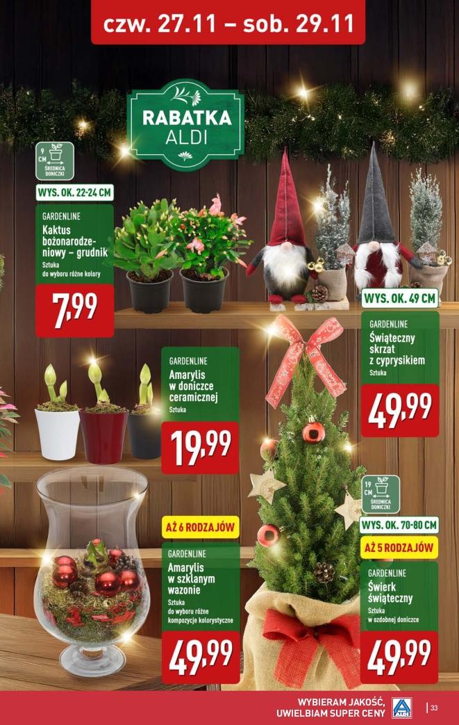 Gazetka promocyjna ALDI do 29/11/2025 str.33