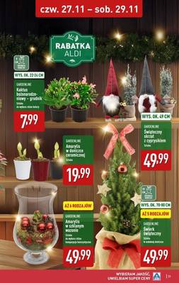 Aldi Katalog 