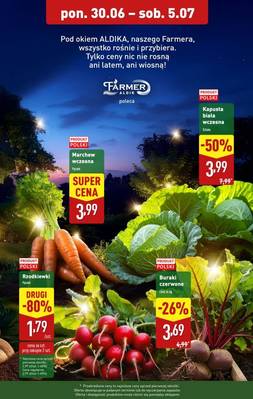 Katalog Aldi