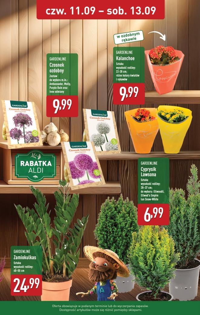 Gazetka promocyjna ALDI do 13/09/2025 str.9
